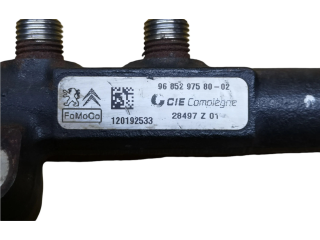 Vstřikovací lišta 9685297580, 9670076780 Citroen Berlingo pro naftový motor 1.6