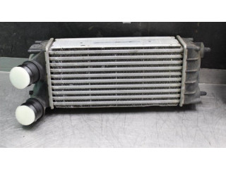 Pojistková skříňka Радиатор интеркулера 9684212480, 9684212480   Citroen Berlingo 2012