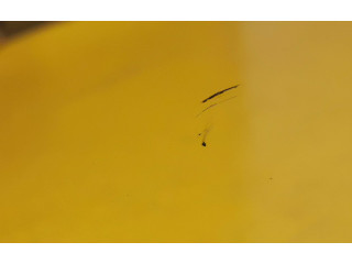 Zpětné zrcátko Toyota Yaris 2018