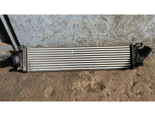 Интеркулер Ford Galaxy 2.0