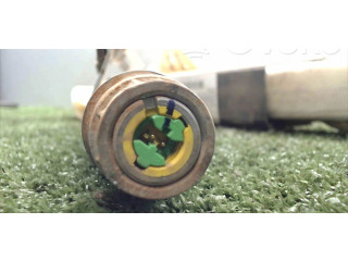 Подушка безопасности двери 6062213LH Jeep Grand Cherokee (WK)