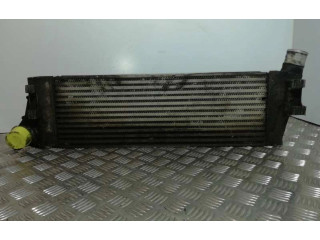 Интеркулер 820011540 Renault Scenic RX