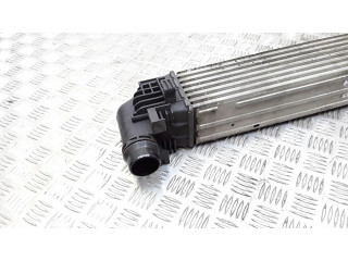 Интеркулер  8200880552b   Dacia Duster 