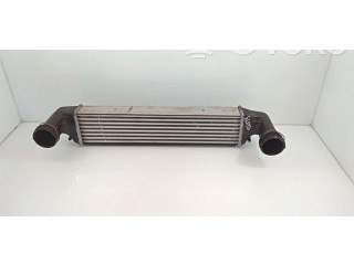 Интеркулер     BMW X3 E83 