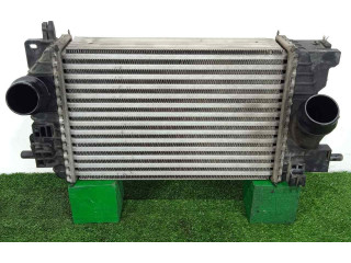 Интеркулер  13283251-R3445004, 315X218X64   Opel Meriva A 