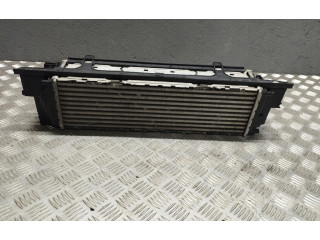 Интеркулер     BMW X3 F25 