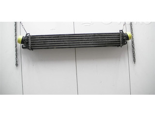 Интеркулер  50517002   Alfa Romeo Giulietta 1.4