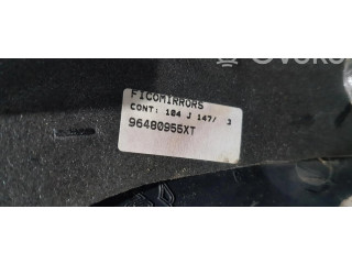 Zpětné zrcátko Peugeot 206+ 96480955XT