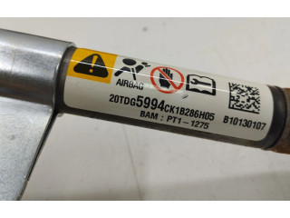 Turbodmychadlo Надувная подушка для крыши B10130107, PT11275   Opel Antara   