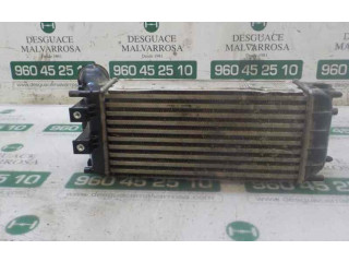 Интеркулер     Peugeot Partner 