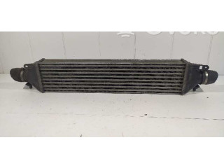 Интеркулер     Fiat Bravo 