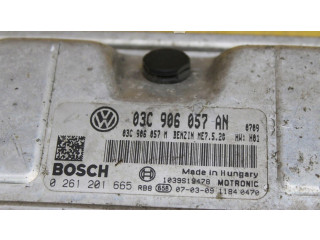 Блок управления двигателем Блок управления Skoda Roomster (5J)