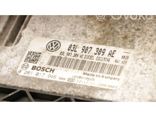 Řídící jednotka 0281017946, 03l907309ae Volkswagen PASSAT B7 2012