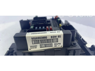 Pojistková skříňka Řídící jednotka BSM 1650882680 Peugeot 206 2004