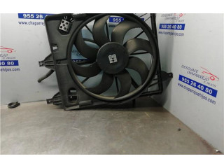Комплект вентиляторов     8200685725, 8200685725    Renault Clio II 