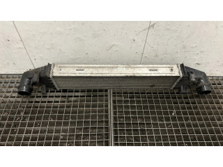 Интеркулер A2045000100 Mercedes-Benz E W212 2.1