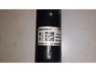 Vstřikovací lišta 94675G01, R9144Z290B Citroen C4 II Picasso pro naftový motor 1.6