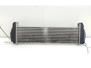 Интеркулер 622704 SsangYong Kyron