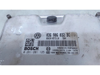 Řídící jednotka 036906032BC, 0261201125   Volkswagen Caddy 2005