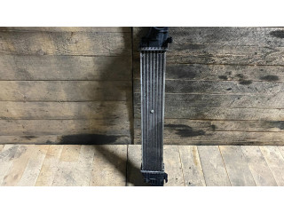 Интеркулер  A2115001102, 2115001102   Mercedes-Benz E W211 2.7