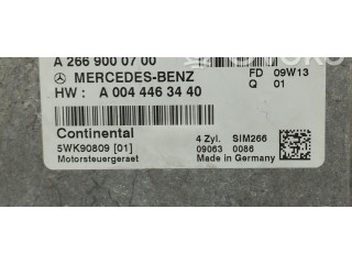 Řídící jednotka A2669000700, A2669000700 Mercedes-Benz B W245 2009