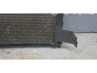 Вентилятор радиатора         Renault Twingo II 