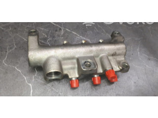 Vstřikovací lišta Renault Vel Satis