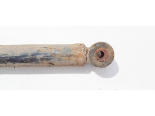 Задний aмортизатор      