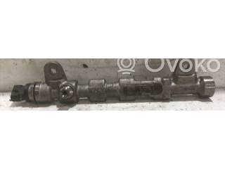 Топливная рампа 0445214254, 0445214254 Fiat Freemont