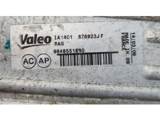 Интеркулер 876923JF, 9648551880 Peugeot 307 1.6