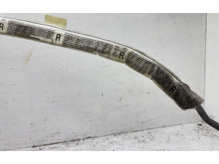 Боковая подушка безопасности 1Z5880742G   Skoda Octavia Mk2 (1Z)