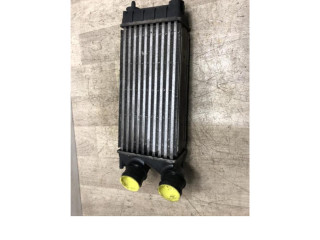 Интеркулер  0384N9, 0384N9   Peugeot 5008 