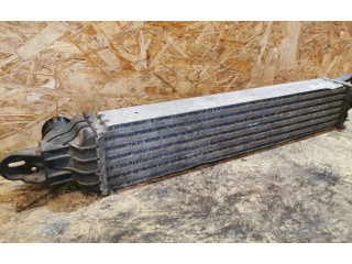 Интеркулер 52429458, 202922 Opel Meriva A