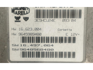 Čerpadlo oleje IAW48P2.72, IAW48P2.72   Citroen C3   