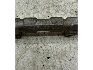 Топливная рампа R03P125 Skoda Fabia Mk2 (5J)