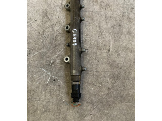 Топливная рампа 0445214076 Ford Ranger для двигателя WLAA