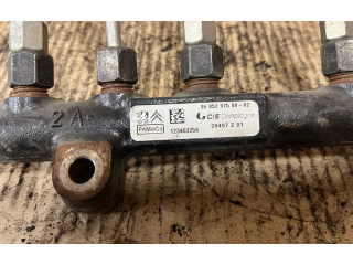 Топливная рампа 968529758002, 123403258 Citroen C4 I Picasso