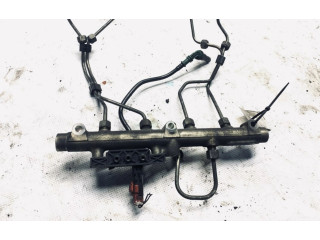 Vstřikovací lišta 0281002592, 001569 Peugeot 3008 I