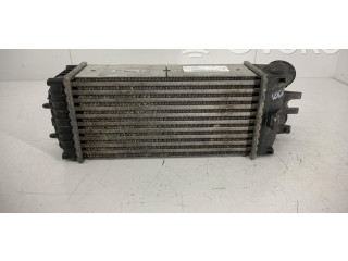 Интеркулер Citroen Berlingo