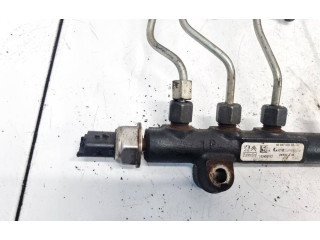 Vstřikovací lišta 9684753080, 103450177 Citroen Berlingo