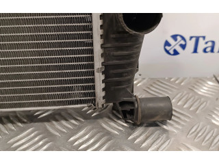 Панель приборов 214100002R, RA1562   Renault Megane III       