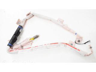 Боковая подушка безопасности 100526200E, A16IV003138 Tesla Model S