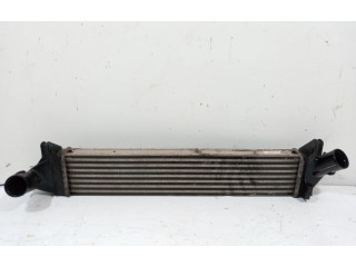 Интеркулер 8200409045A Dacia Sandero