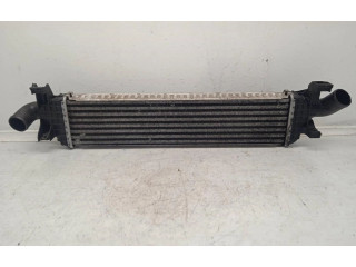 Интеркулер 4N5H9L440VF Volvo S40