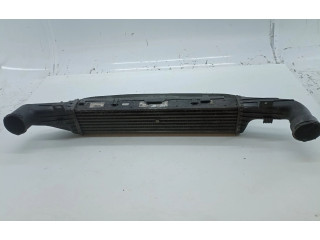 Интеркулер A2105001400, A2105052130 Mercedes-Benz E W210
