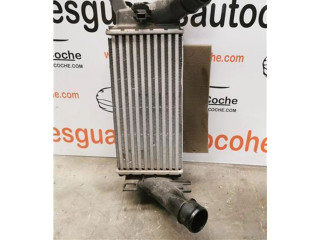 Интеркулер Ford Ecosport