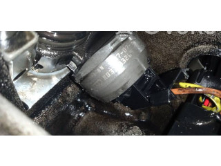 Форсунка 038130073BN, 038130073BN Skoda Octavia Mk2 (1Z)