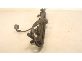 Топливная рампа Skoda Fabia Mk2 (5J) для двигателя BXW