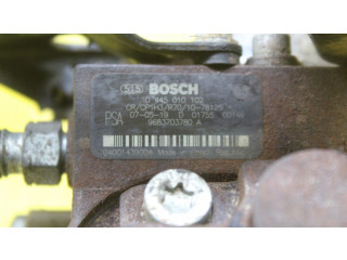 Vstřikovací čerpadlo    Citroen Berlingo     