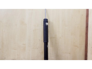 Задний aмортизатор      